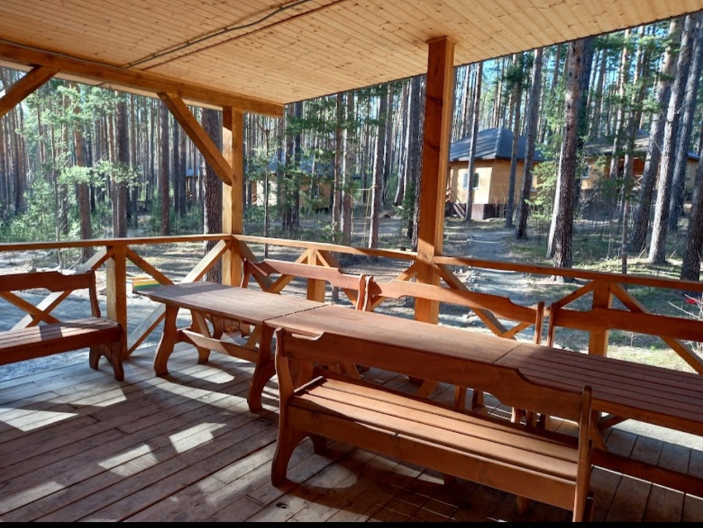 IMG_0919.jpg