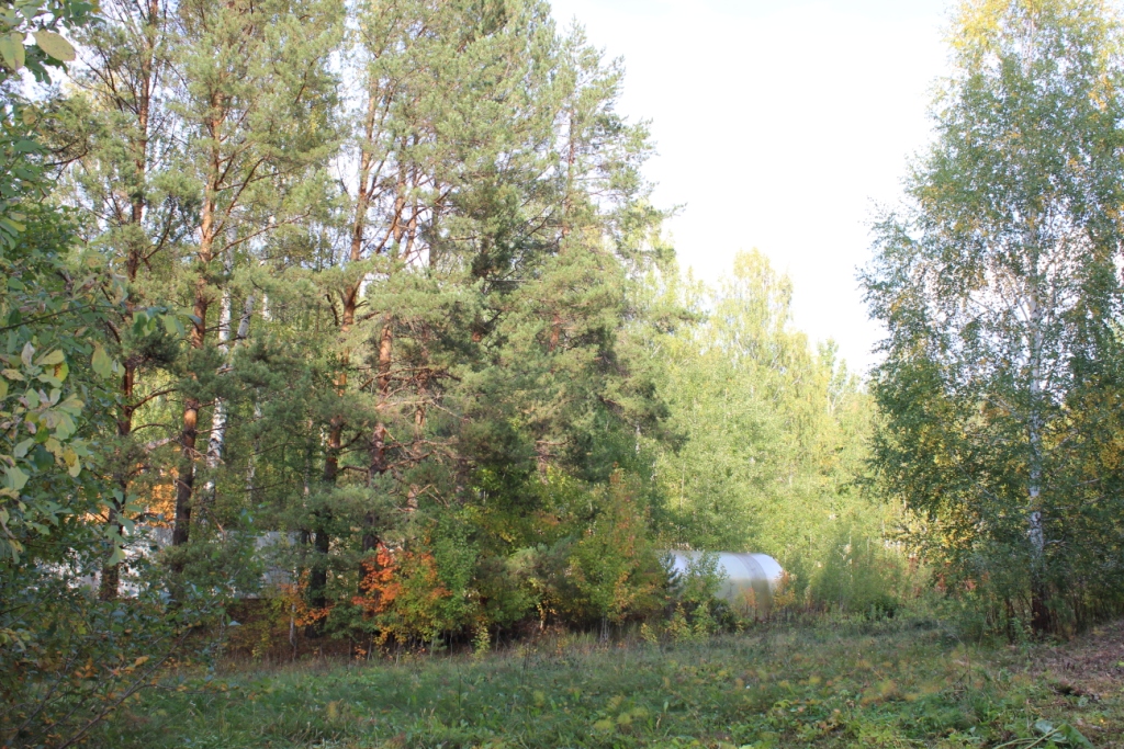 IMG_1874.JPG