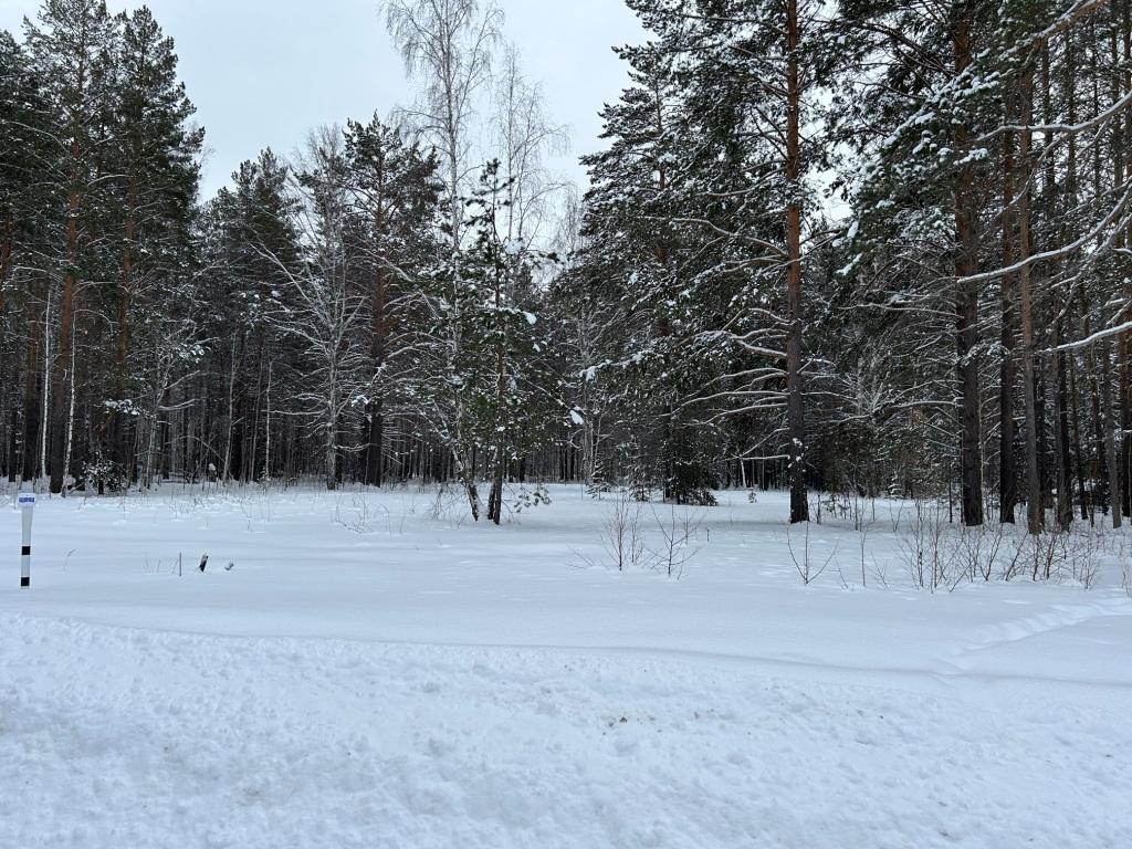 IMG_5448.jpg