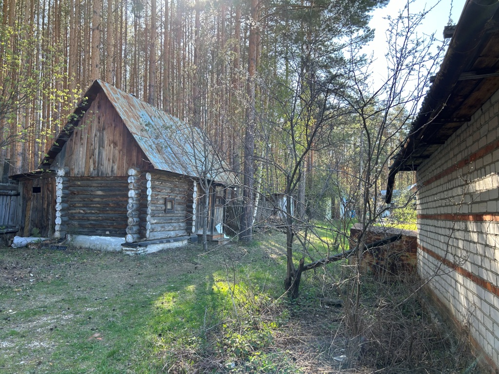IMG_6251.jpg