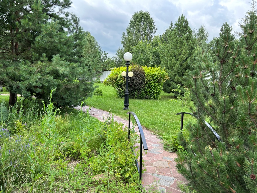 IMG_7089.jpg