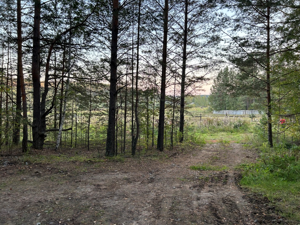 IMG_7683.jpg