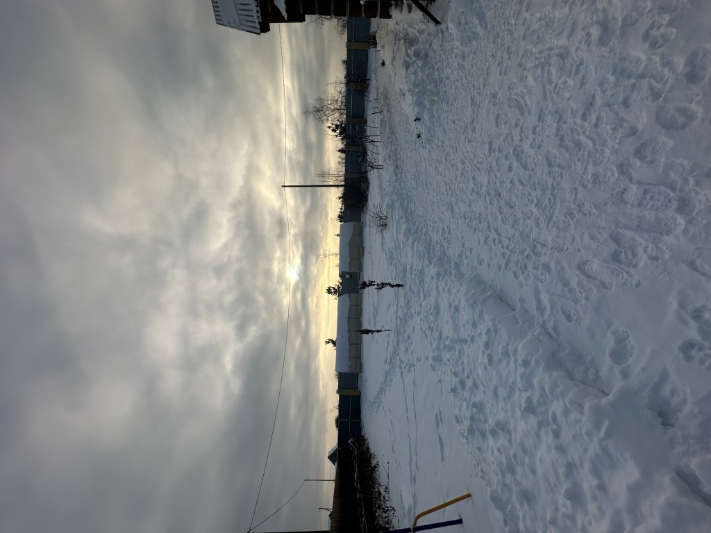 IMG_8868.jpg