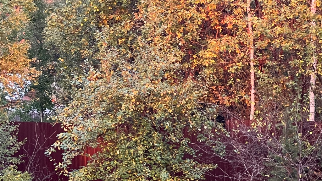 image-17-09-23-10-03-7.jpg