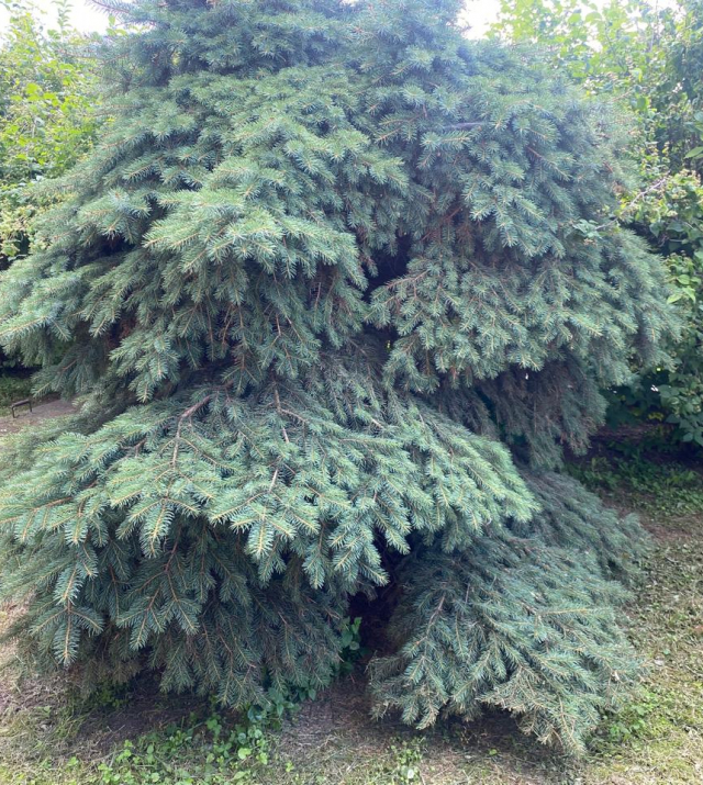 IMG_0658.jpg