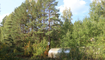 IMG_1844.JPG
