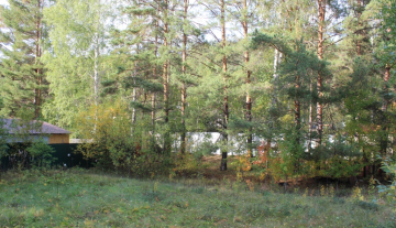 IMG_1869.JPG