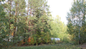 IMG_1874.JPG