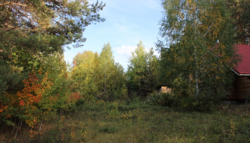 IMG_1877.JPG