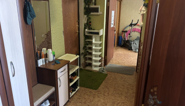 IMG_3121.jpeg