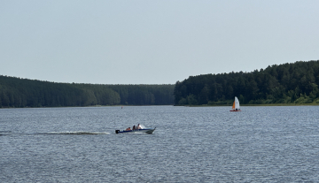 IMG_3715.jpeg