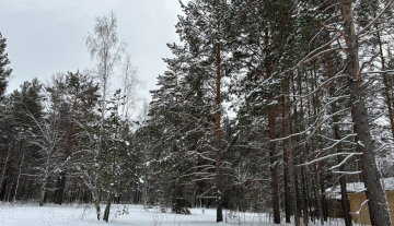 IMG_5446.jpg