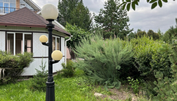 IMG_7101.jpg