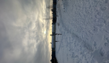 IMG_8868.jpg