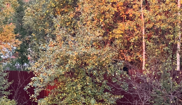 image-17-09-23-10-03-7.jpg