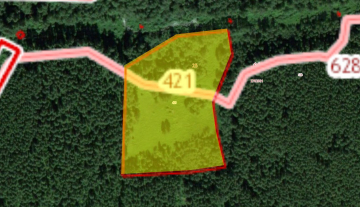 kashino2.5ga2.JPG